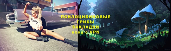 гидропоника Покачи